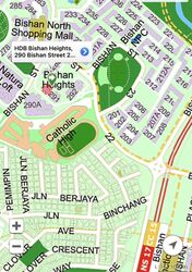Blk 290 Bishan Heights (Bishan), HDB 4 Rooms #630648231